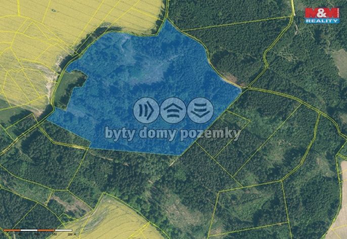 Prodej, Les, Milevsko