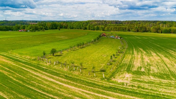 Prodej, Zahrada, Libníč