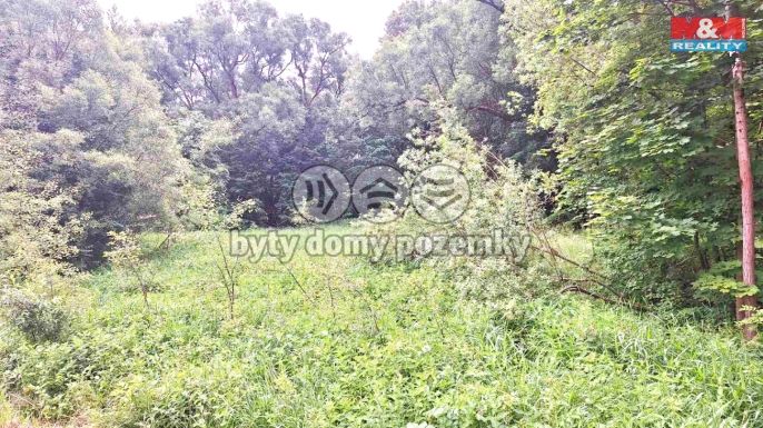 Prodej, Louka, Česká Lípa