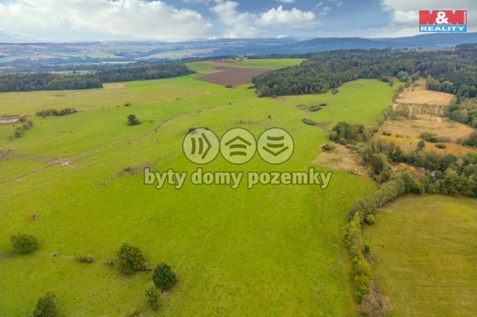 Prodej, Louka, Spálené Poříčí