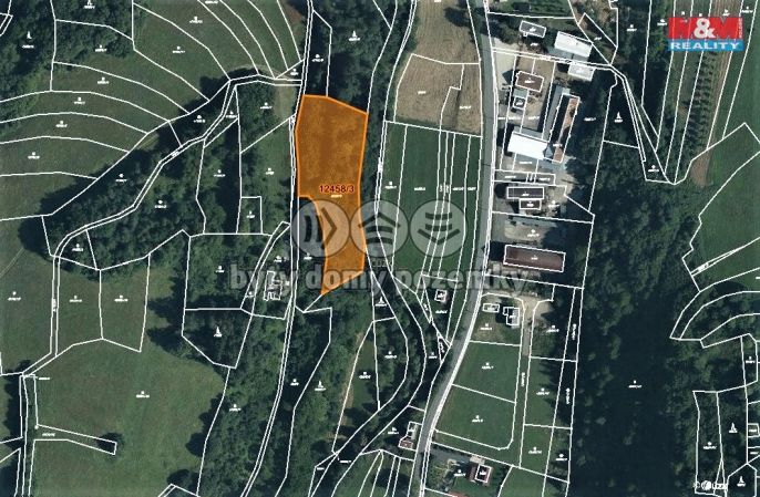 Prodej, Les, Huslenky