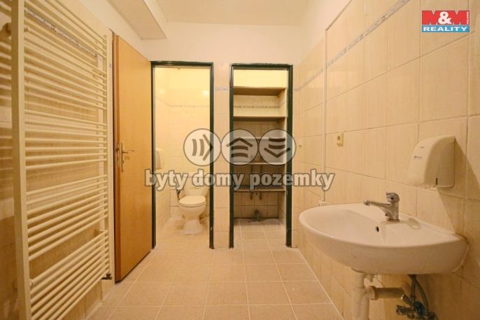 Pronájem, Byt 1+1, Dolany