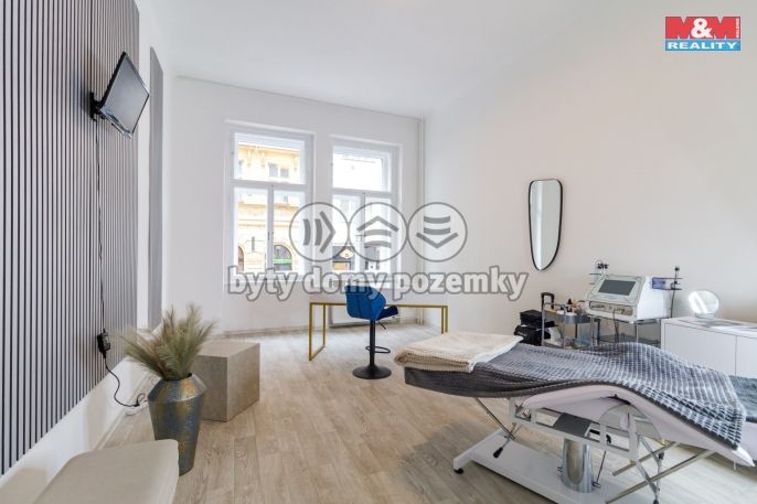 Pronájem, Obchod a služby, Plzeň