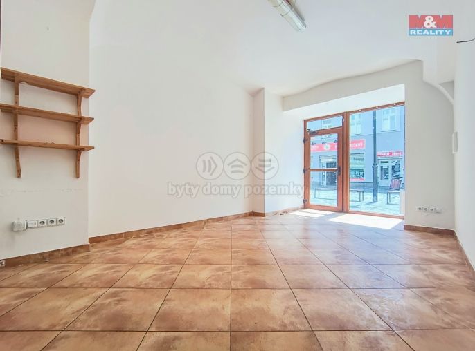Pronájem, Obchod a služby, Slaný