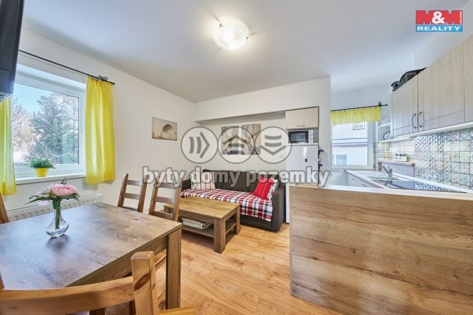 Prodej, Byt 2+1, Černý Důl