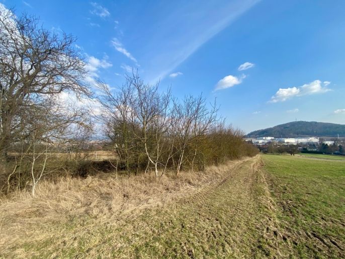 Prodej, Zahrada, Drásov