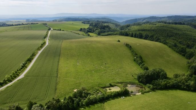 Prodej, Louka, Hranice