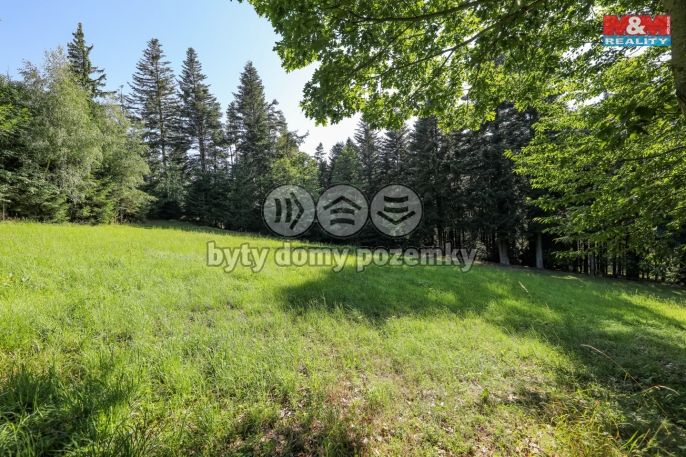 Prodej, Les, Petrovice u Sušice