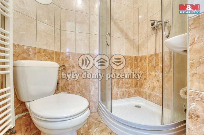 Pronájem, Komerční pozemky, Zbůch