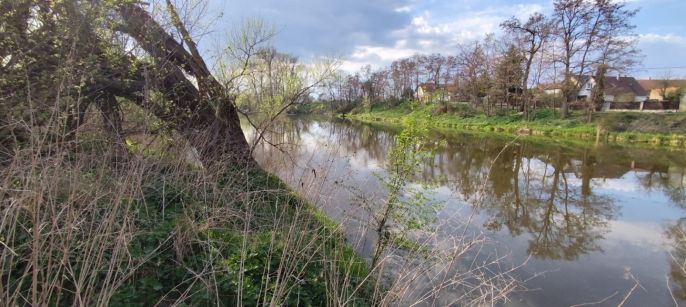 Prodej, Ostatní, Hořín