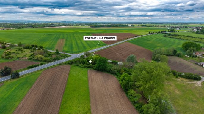 Prodej, Komerční pozemky, Poděbrady