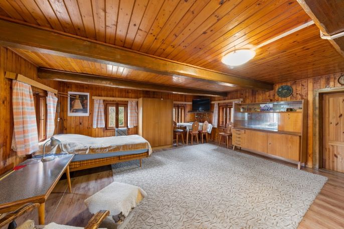 Prodej, Hotel, penzion, Labská Stráň