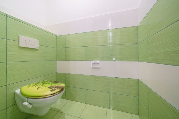 Prodej, Rodinný dům, Domašín