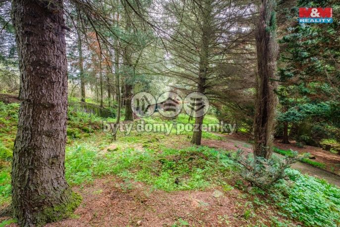 Prodej, Rodinný dům, Krásný Les