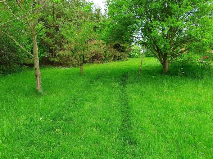 Prodej, Pozemek k bydlení, Senožaty