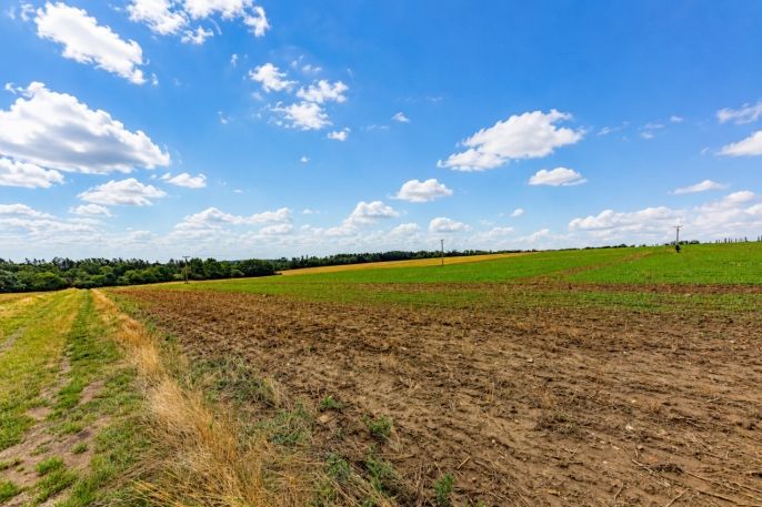 Prodej, Pole, Chlístovice