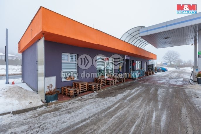 Prodej, Obchod a služby, Nová Role