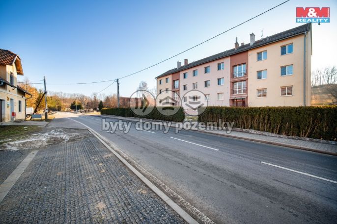 Prodej, Byt 3+1, Čistá