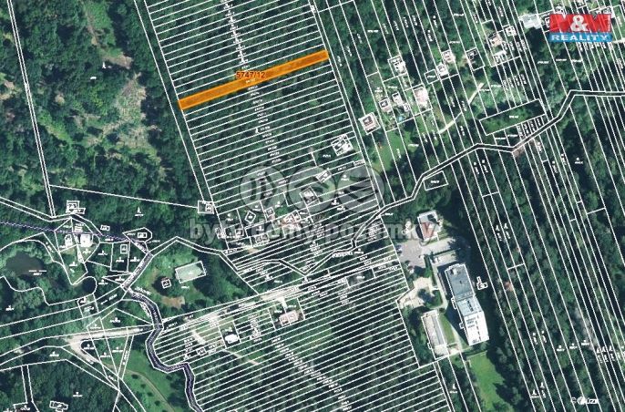 Prodej, Les, Kněždub