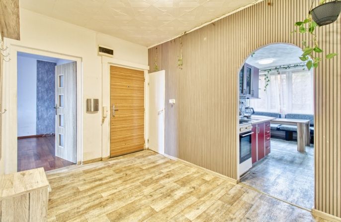 Prodej, Byt 2+1, Chomutov