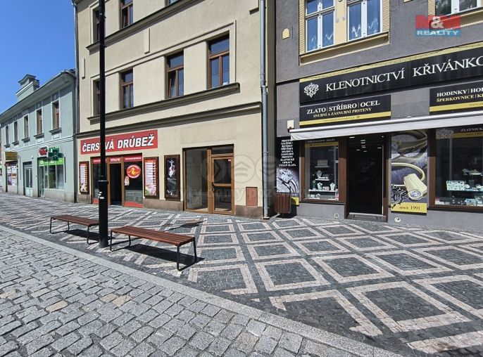 Pronájem, Obchod a služby, Slaný
