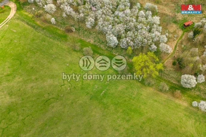 Prodej, Pole, Staré Město