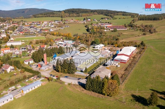 Prodej, Kancelářský prostor, Horní Planá