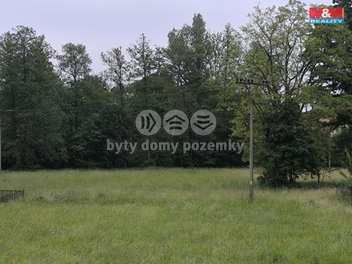 Prodej, Les, Střelské Hoštice