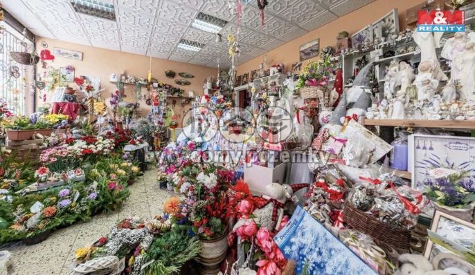 Prodej, Obchod a služby, Chomutov