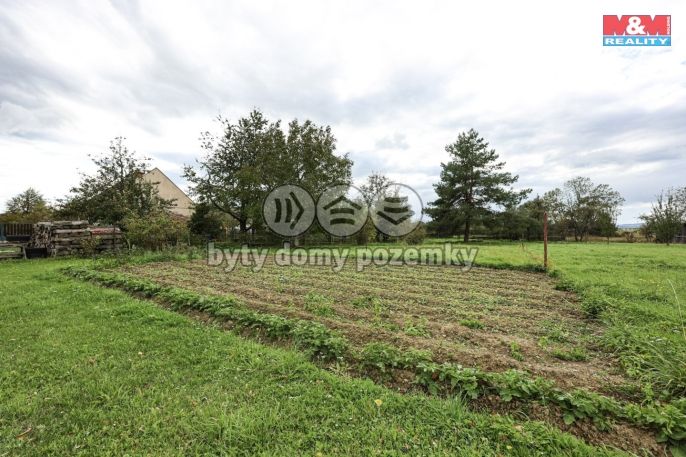 Prodej, Zahrada, Paseka
