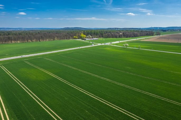 Prodej, Pole, Čistá