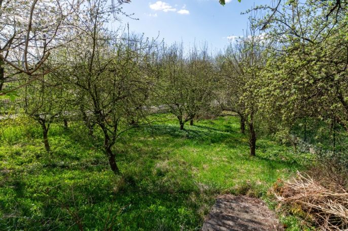 Prodej, Atypický byt, Orlová