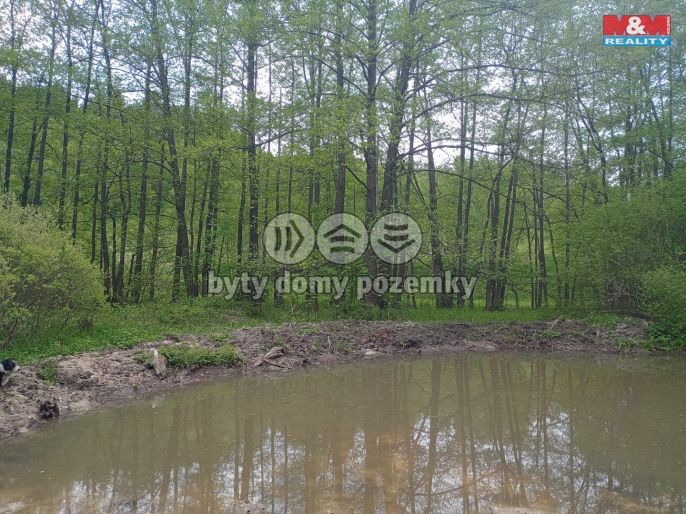 Prodej, Louka, Kořenov