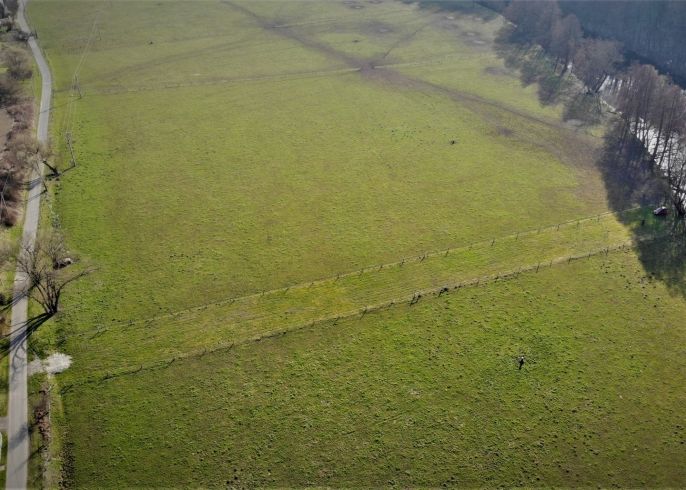 Prodej, Louka, Turnov