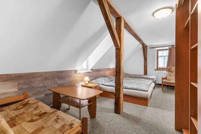 Prodej, Hotel, penzion, Rokytnice nad Jizerou