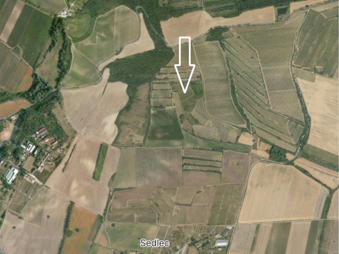 Prodej, Vinice, Sedlec