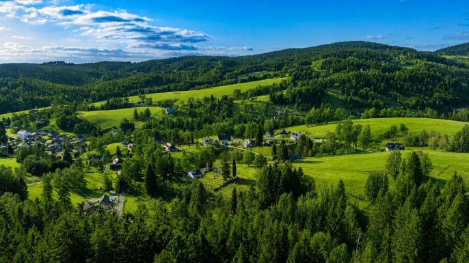 Prodej, Louka, Janov nad Nisou