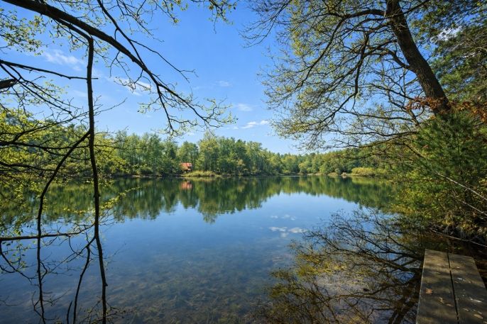 Prodej, Pozemek k bydlení, Loučeň