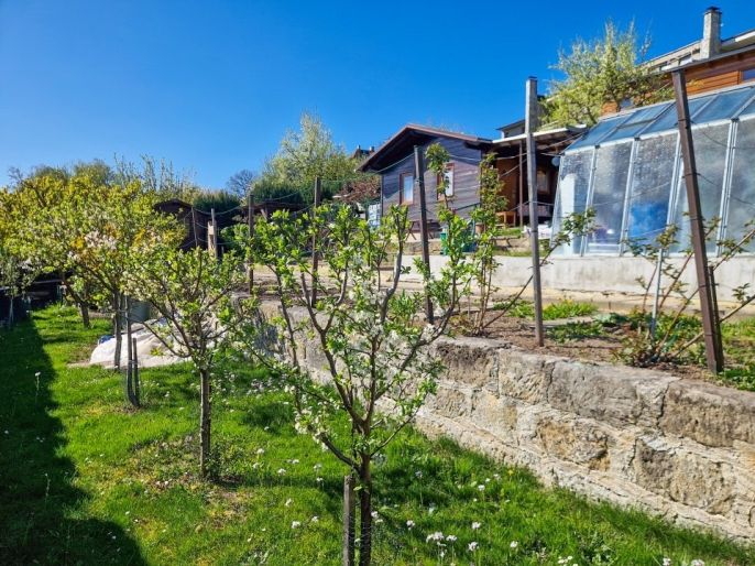 Prodej, Zahrada, Nový Bor