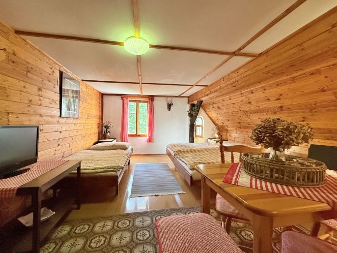 Prodej, Hotel, penzion, Teplice nad Metují