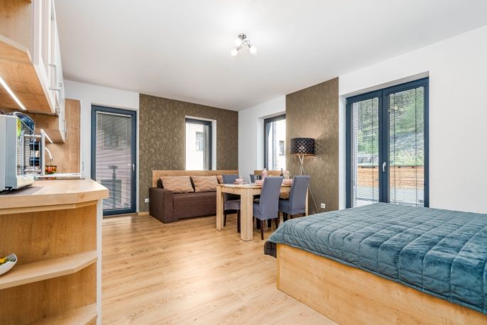 Pronájem, Byt 1+kk, Vrchlabí