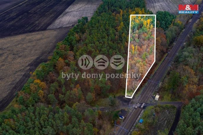 Prodej, Les, Lysá nad Labem