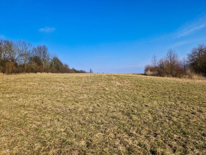 Prodej, Louka, Kozly