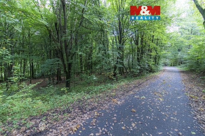 Prodej, Zahrada, Kostelec nad Černými lesy