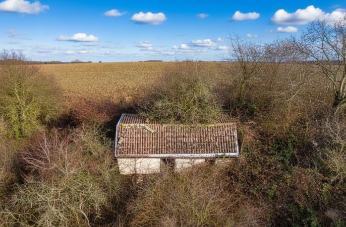 Prodej, Zahrada, Malé Žernoseky