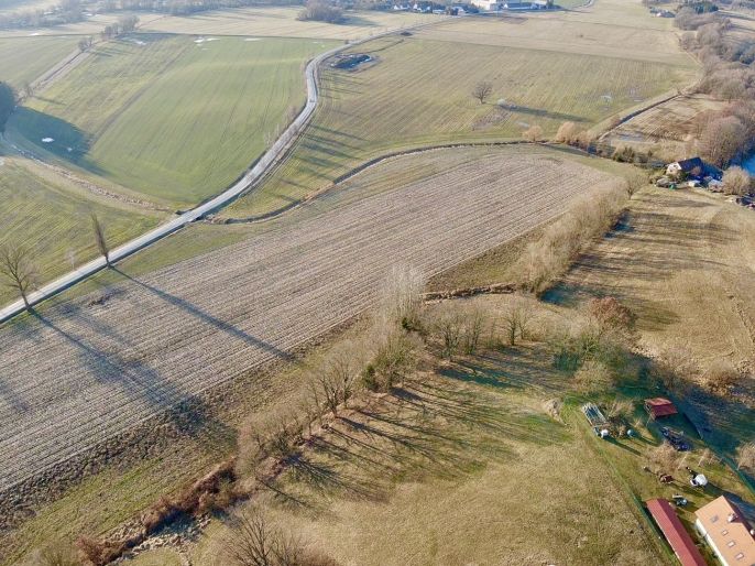 Prodej, Pole, Bošín