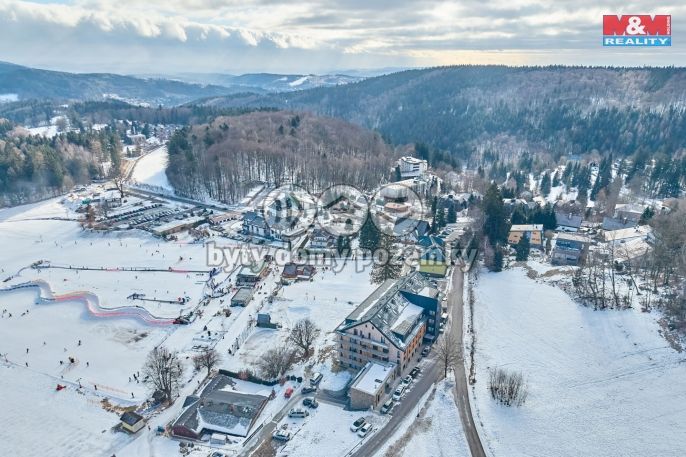 Prodej, Byt 1+kk, Janské Lázně