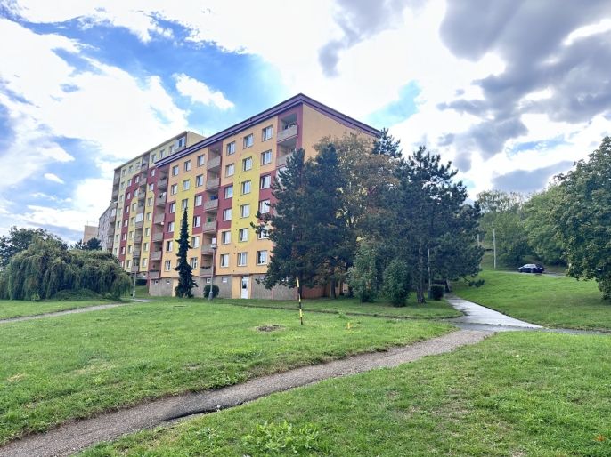 Prodej, Byt 1+1, Chomutov