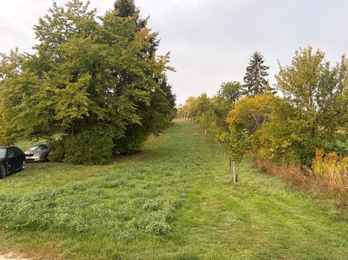 Prodej, Zahrada, Šlapanice