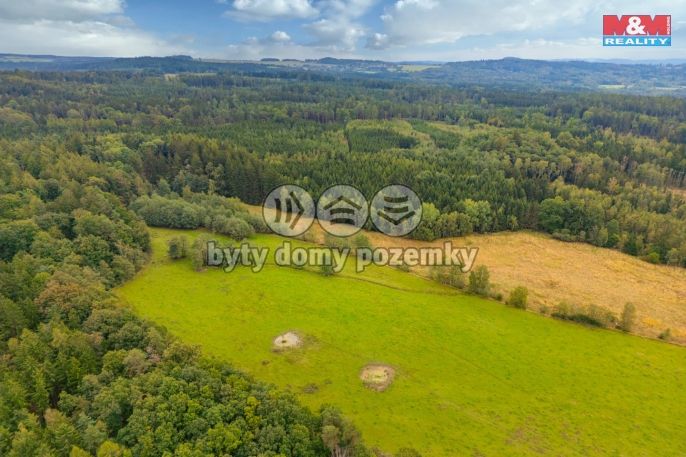 Prodej, Louka, Spálené Poříčí